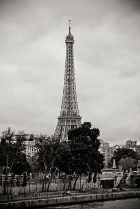 Picture of EIFFEL TOWER BW I