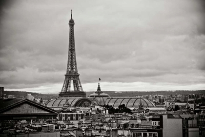 Picture of PARIS BW II