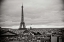 Picture of PARIS BW II