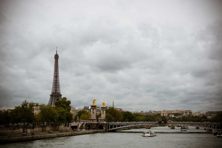 Picture of LA SEINE AND LA TOUR EIFFEL