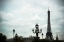 Picture of LAMPPOSTS AND THE EIFFEL TOWER