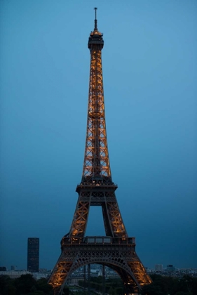 Picture of EIFFEL TOWER AT NIGHT I