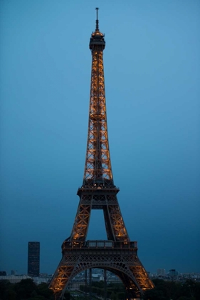 Picture of EIFFEL TOWER AT NIGHT I