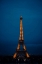 Picture of EIFFEL TOWER AT NIGHT IV