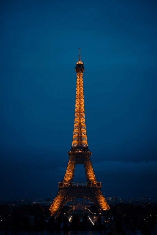 Picture of EIFFEL TOWER AT NIGHT IV