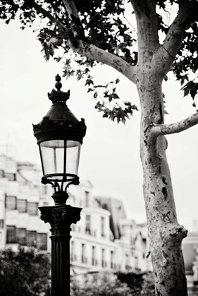 Picture of PARISIAN LIGHTPOSTS BW II