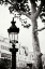 Picture of PARISIAN LIGHTPOSTS BW II