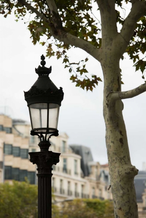 Picture of PARISIAN LIGHTPOSTS II