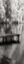 Picture of MINT SPRINGS LAKE PANEL I