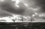 Picture of WINTER SILENCE I