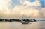 Picture of MORNING ON THE WATER II