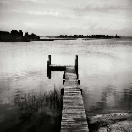 Picture of LONELY DOCK V