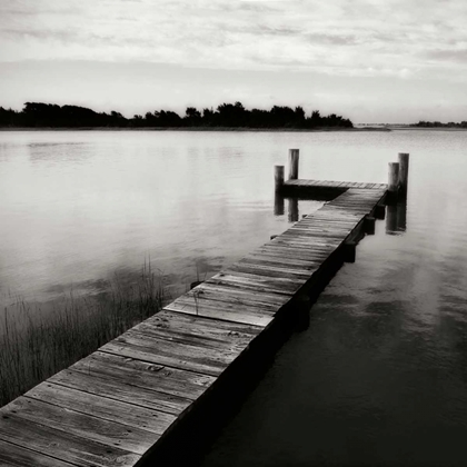 Picture of LONELY DOCK VI