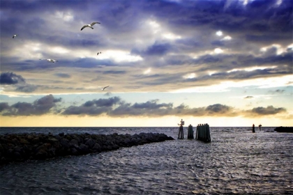 Picture of CEDAR ISLAND QUAY I