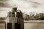 Picture of PAMLICO GULLS I