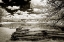 Picture of OLD MILL LAKE