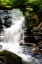 Picture of DEEP WOODS WATERFALL I