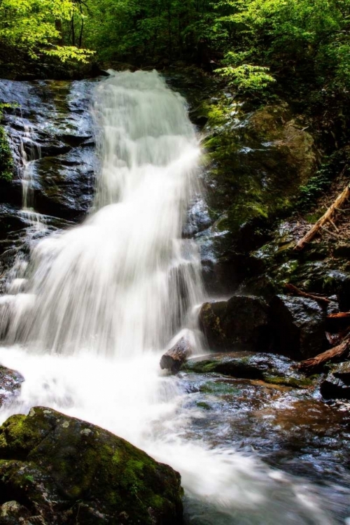 Picture of DEEP WOODS WATERFALL I