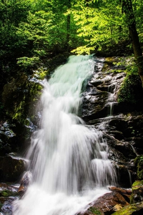 Picture of DEEP WOODS WATERFALL II