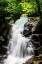 Picture of DEEP WOODS WATERFALL II