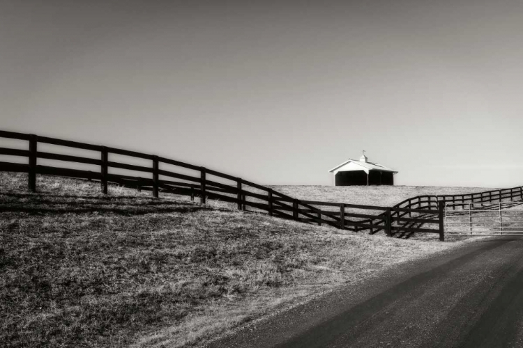 Picture of ALBERMARLE FARM I