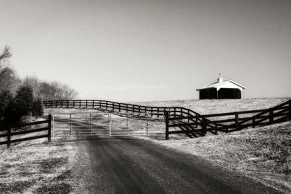 Picture of ALBERMARLE FARM II