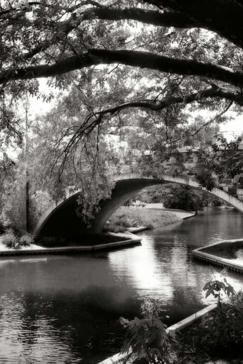 Picture of GARDEN BRIDGE II