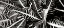 Picture of CROTON I