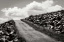 Picture of FIELDS OF SORROW II