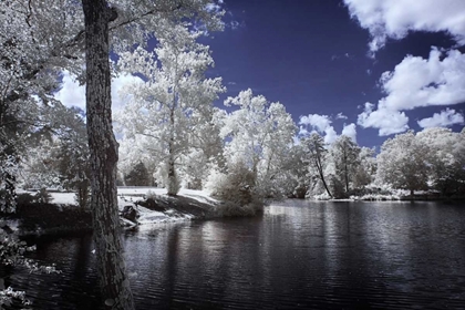 Picture of WALKERTON MILLPOND II