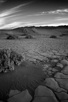 Picture of DEATH VALLEY DUNES II