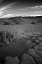 Picture of DEATH VALLEY DUNES II