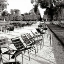 Picture of JARDIN DES TUILERIES II