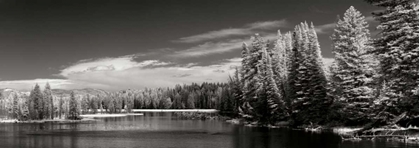 Picture of YELLOWSTONE RIVER