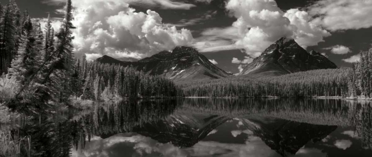 Picture of LEACH LAKE