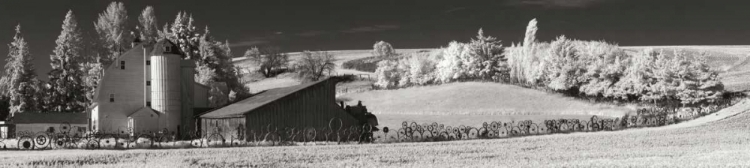 Picture of WHEEL BARN AND FIELDS