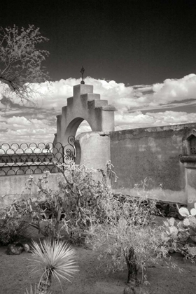 Picture of MISSION SAN XAVIER II