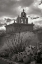 Picture of MISSION SAN XAVIER III