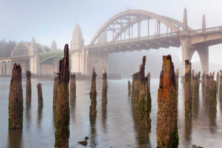 Picture of SUSLAW RIVER BRIDGE III