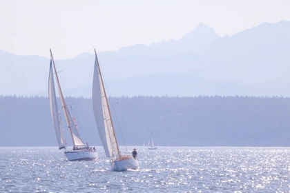Picture of PORT TOWNSEND BOATS I