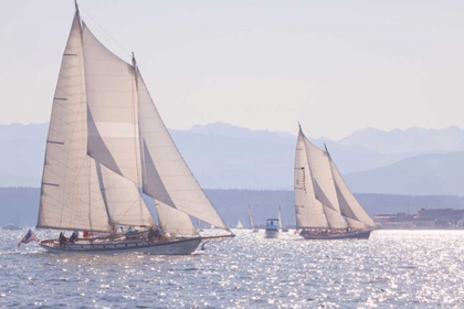 Picture of PORT TOWNSEND BOATS II