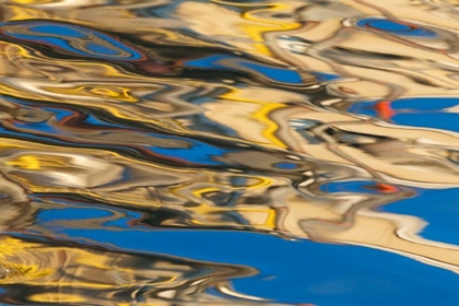 Picture of WATER REFLECTIONS I