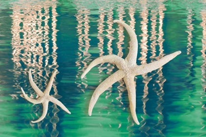 Picture of STARFISH ON WATER I