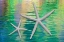 Picture of STARFISH ON WATER II