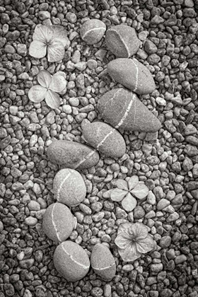 Picture of CURVING ROCKS I