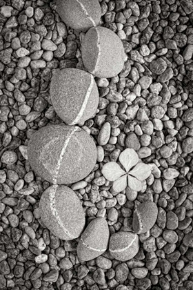 Picture of CURVING ROCKS II