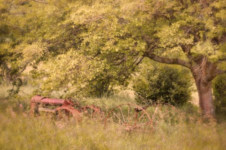 Picture of OLD TRACTOR I