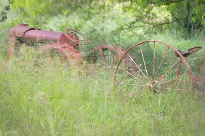 Picture of OLD TRACTOR II