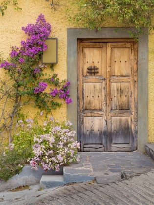 Picture of DOORWAY IN MEXICO I