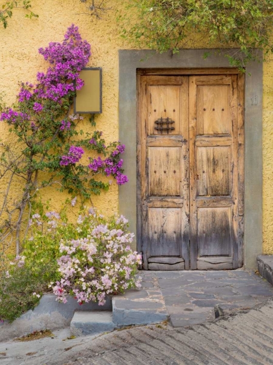 Picture of DOORWAY IN MEXICO I